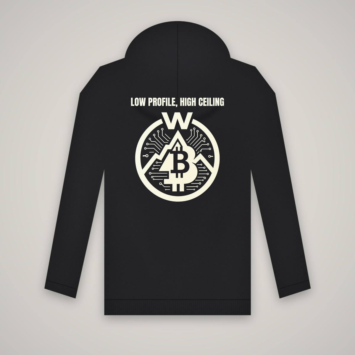 Low Profile, High Ceiling – WashedBlackDry hoodie (back print) mockup on black