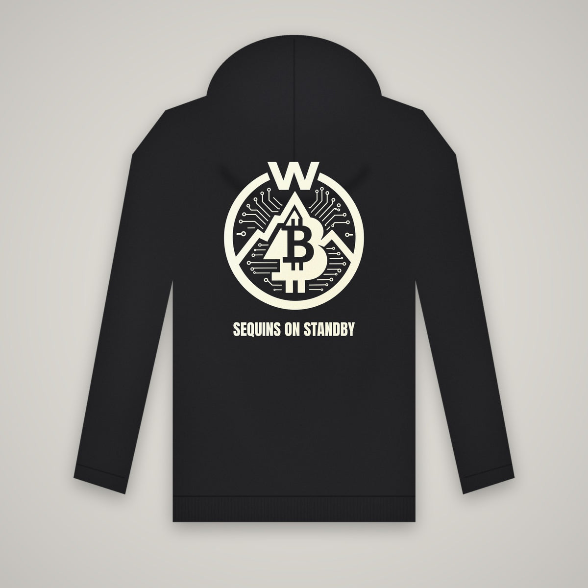 Sequins On Standby – WashedBlackDry hoodie (back print) mockup on black