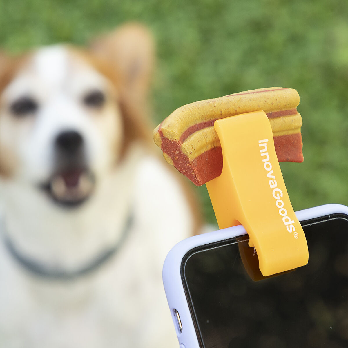 Your PET Not Posing for your Photos or Videos ?  We have a Selfie Clip for him to pose but be careful they might take their treat before you take your Pic!!!!