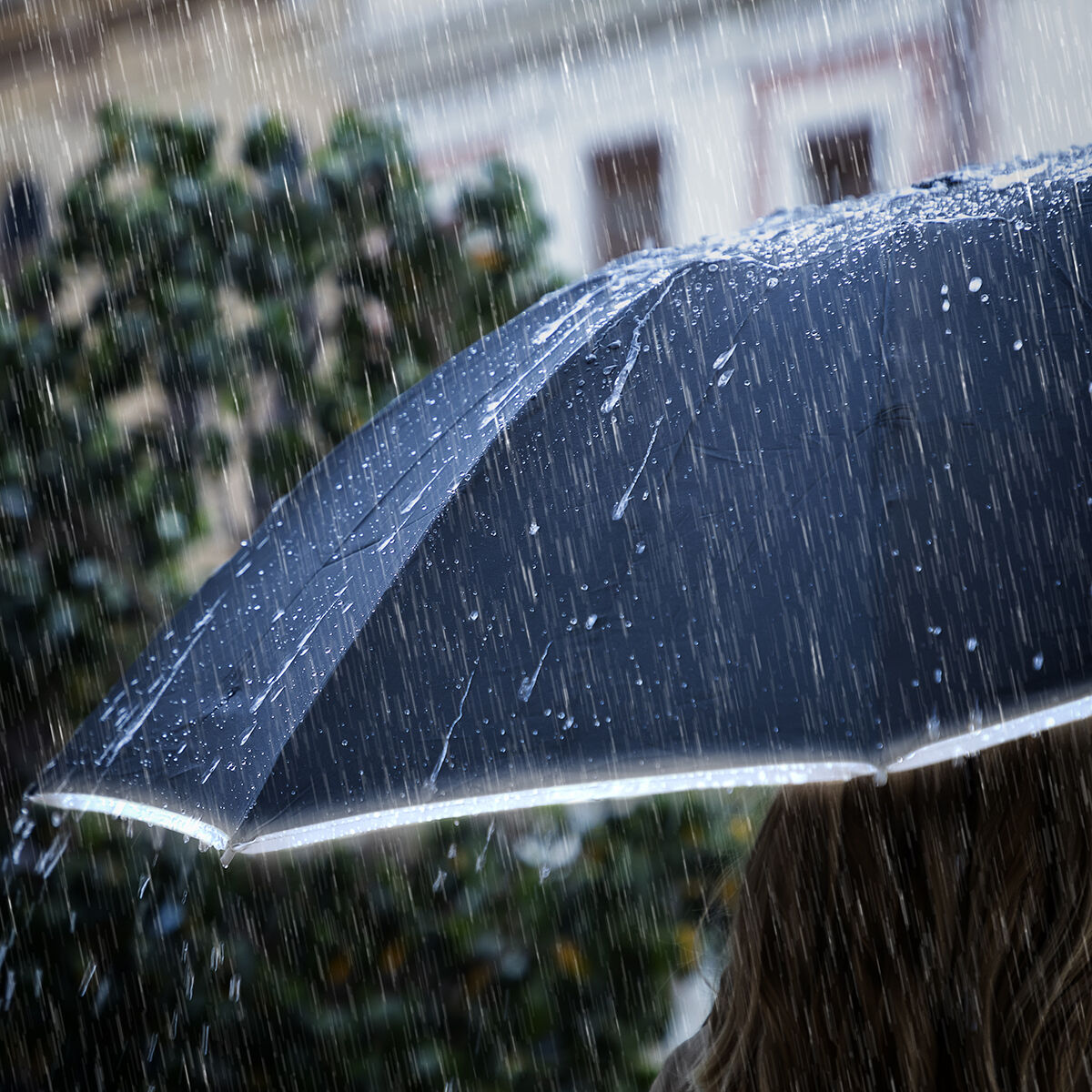 Folding Inverted Umbrella with LED Light!